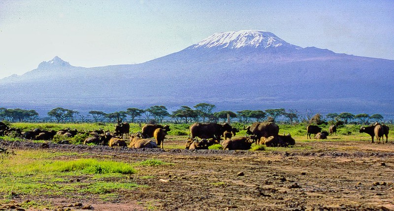 Séjour en Tanzanie : top 3 des sites les plus incontournables